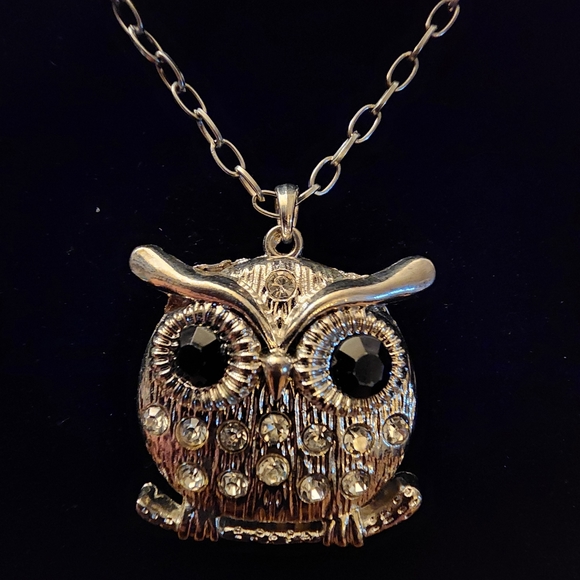 Womens Owl silvertone cz stones black onyx eyes 2"x2'" statement 28" necklace - Picture 4 of 6